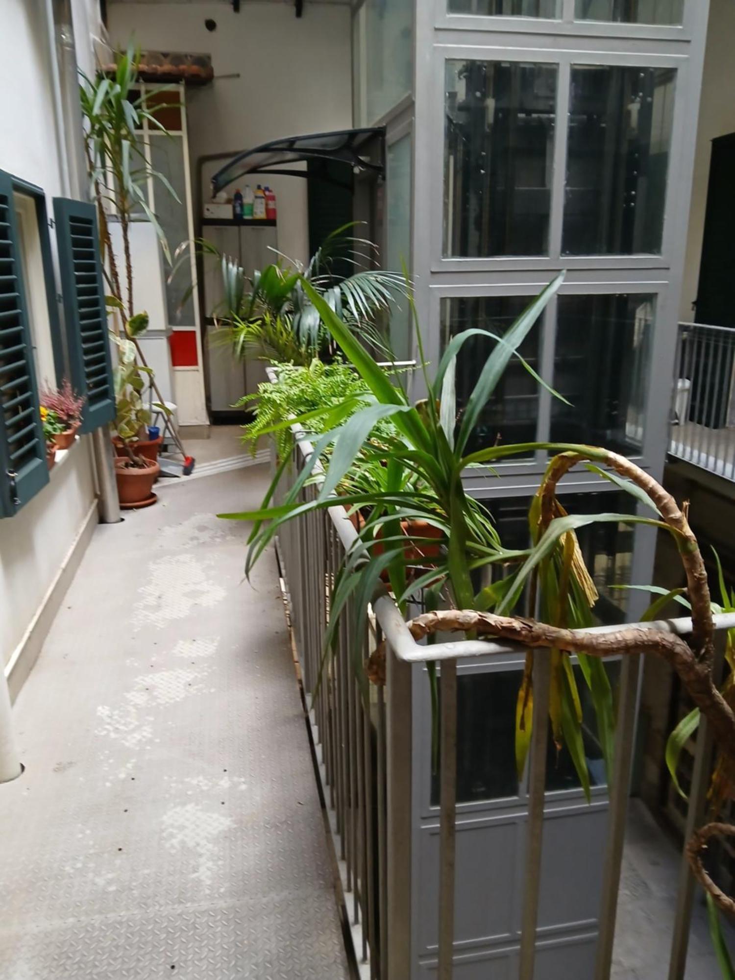 פלרמו B&B Casa Degli Artisti מראה חיצוני תמונה